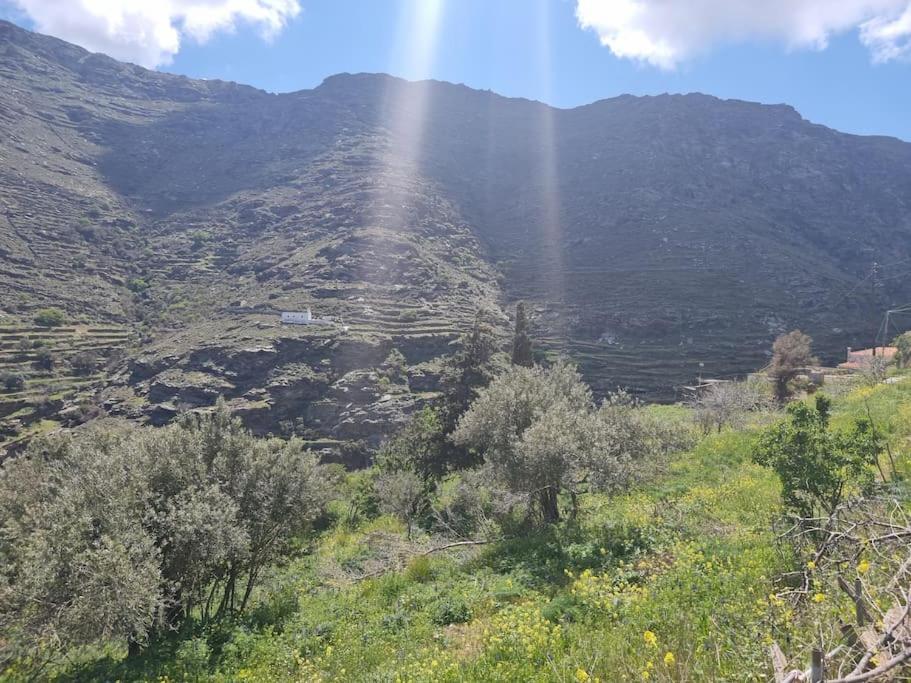 Syneti Andros House Holiday home Sineti