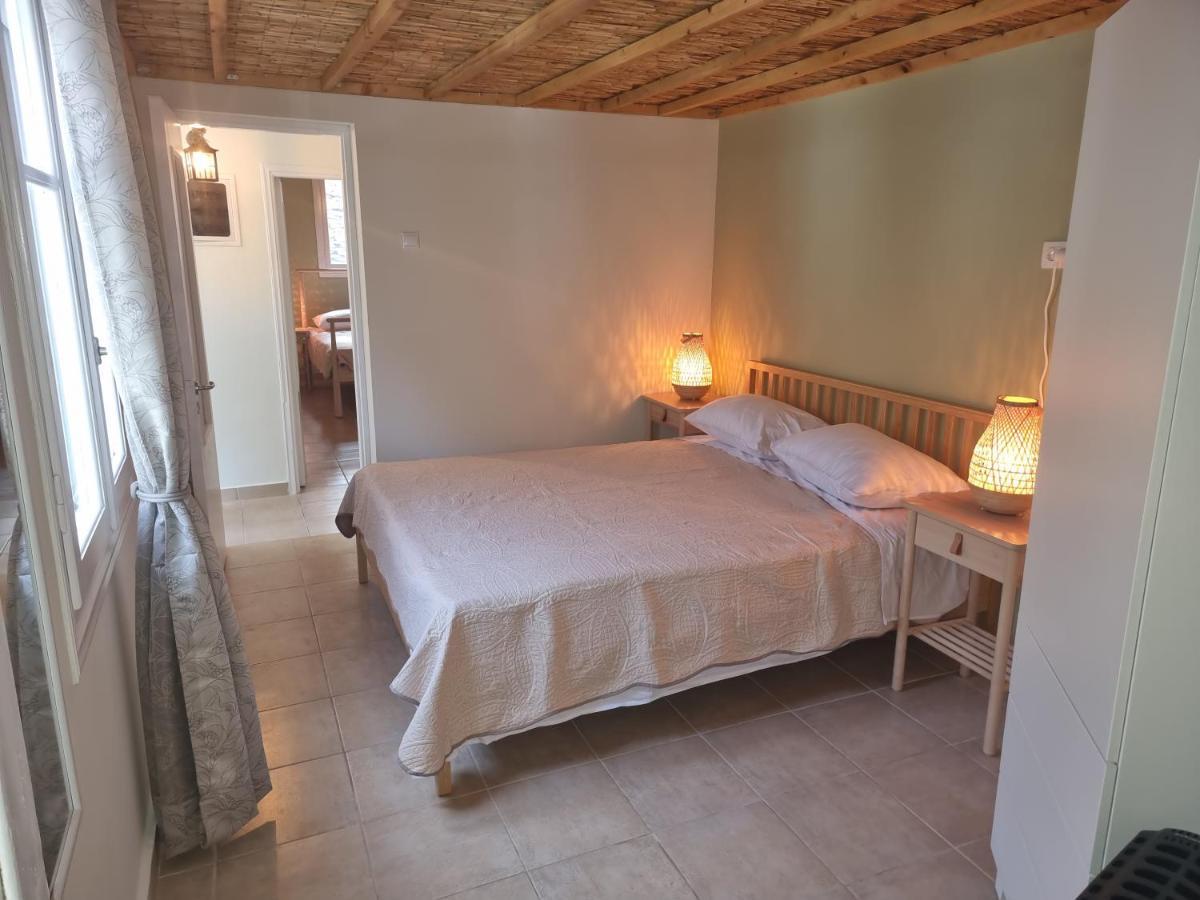 Syneti Andros House Sineti
