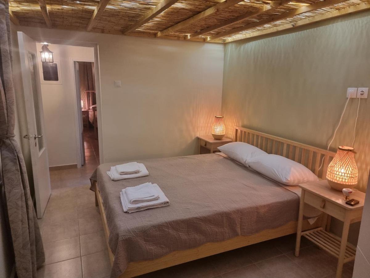 Holiday home Syneti Andros House